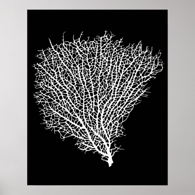 art print of white coral fan (Front)