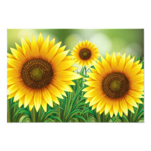 Art Print-Sunflowers Photo Print