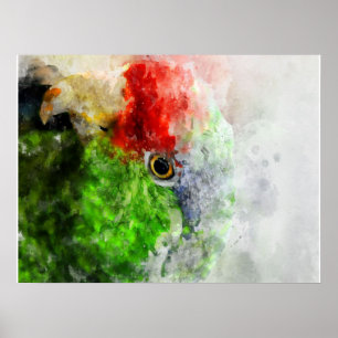 Art Watercolor Parrot Green Parakeet Gift Poster