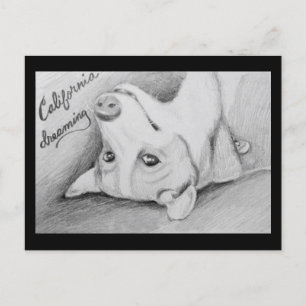 Artaius the Corgi Postcard