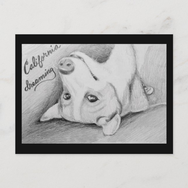 Artaius the Corgi Postcard (Front)