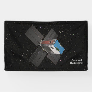 Artemis BioSentinel CubeSat Banner