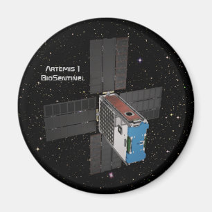 Artemis BioSentinel CubeSat Magnet