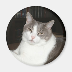 Artemis Magnet