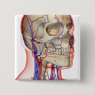 Arteries and veins in the head and neck 15 cm square badge