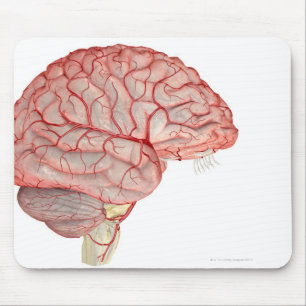 Arteries of the Brain Mouse Mat