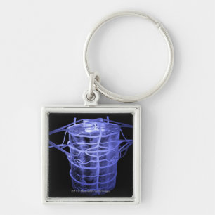 Arteries surrounding part of the spinal column key ring