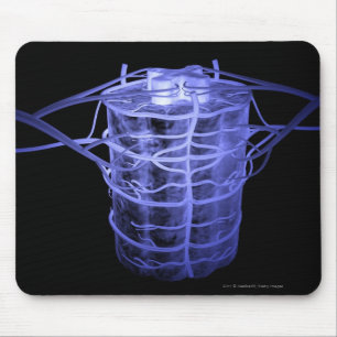 Arteries surrounding part of the spinal column mouse mat
