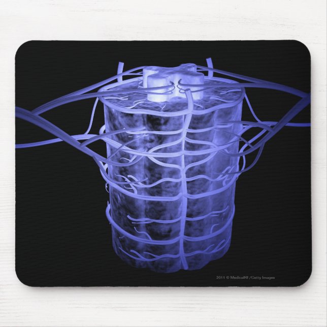 Arteries surrounding part of the spinal column mouse mat (Front)