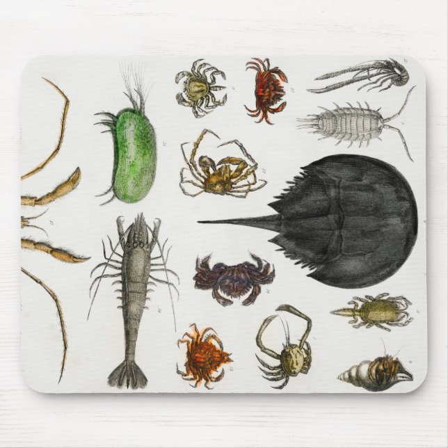 arthropods mouse mat (Front)