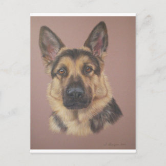 Arthur - German Shepherd Postcard