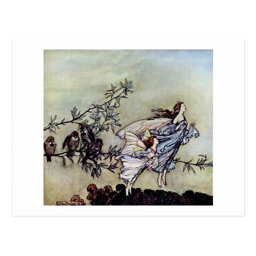 Image of Arthur Rackham book art Peter Pan Fairies Postcard