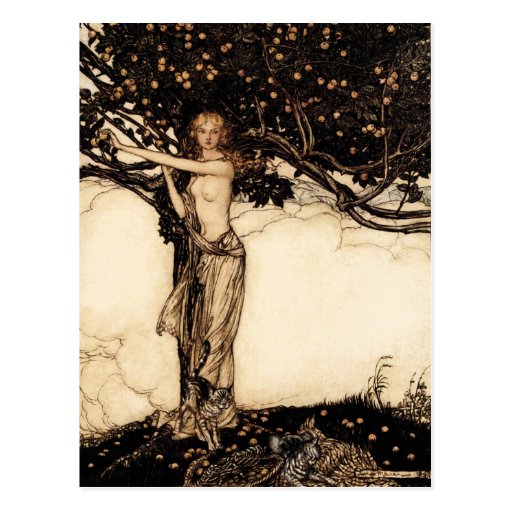 Image of Arthur Rackham Freya CC0329 Postcard