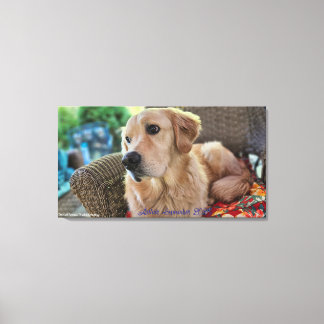 Arthur, September 2025 Canvas Print