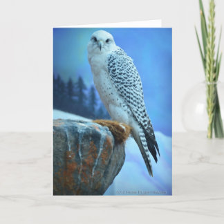 Artic Falcon Greeting Card