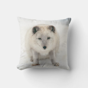 Artic Fox Cushion