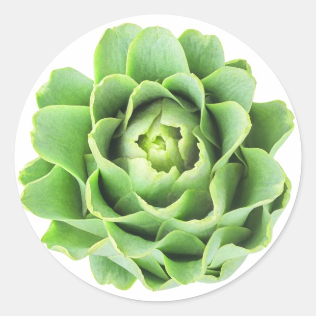 Artichoke Classic Round Sticker (Front)