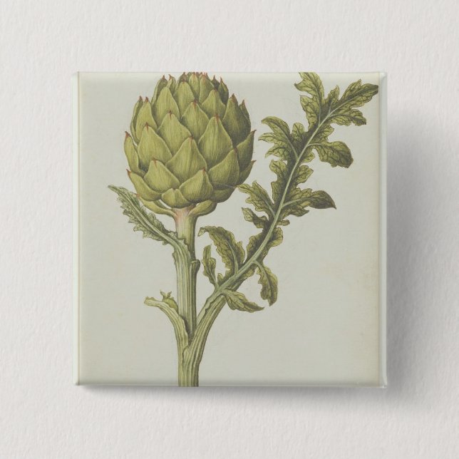 Artichoke: Cynara scolymus, c.1568 15 Cm Square Badge (Front)