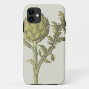 Artichoke: Cynara scolymus, c.1568 iPhone 11 Case