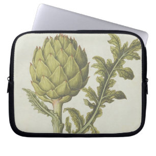 Artichoke: Cynara scolymus, c.1568 Laptop Sleeve