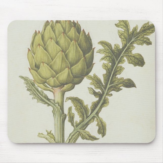 Artichoke: Cynara scolymus, c.1568 Mouse Mat (Front)
