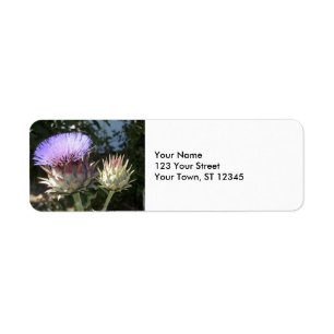 Artichoke Flowers