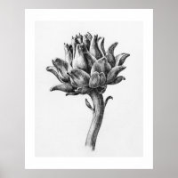 Artichoke II by Jean Bernard (1775-1883).