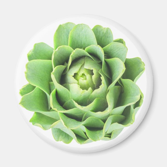 Artichoke Magnet (Front)