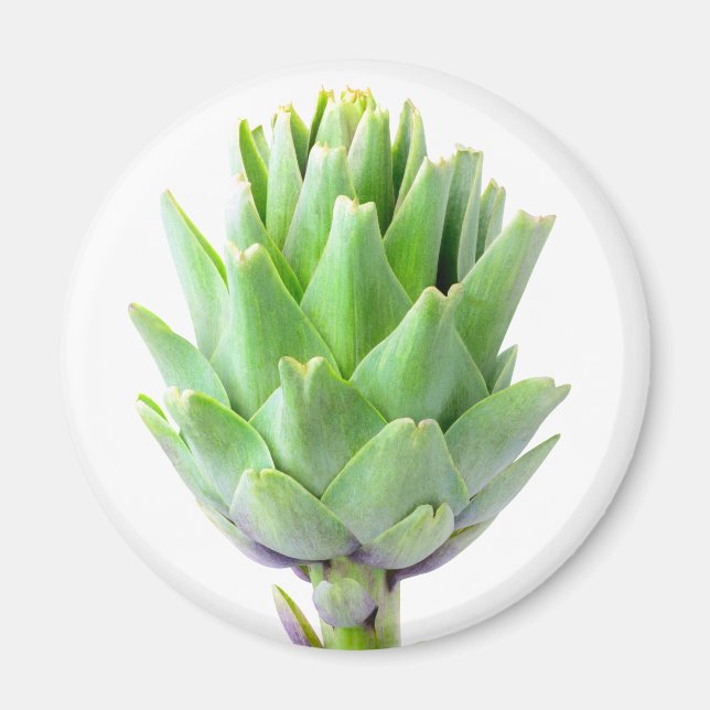 Artichoke Magnet (Front)