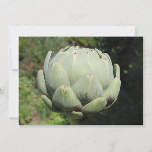 Artichoke Plant. Invitation