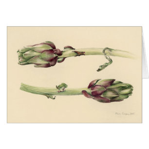 Artichokes 2005