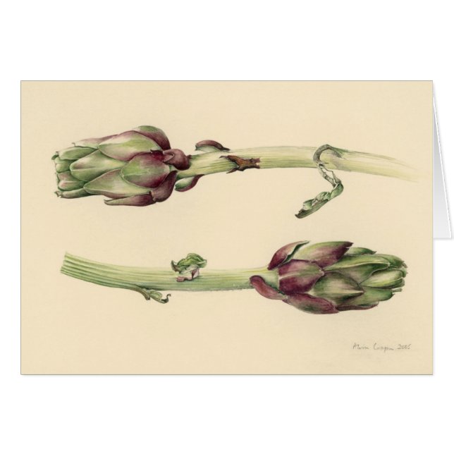 Artichokes 2005 (Front Horizontal)