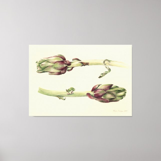Artichokes 2005 canvas print (Front)