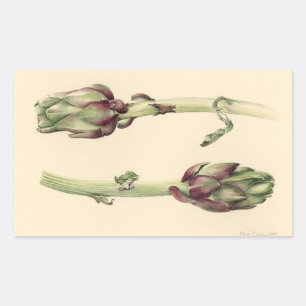 Artichokes 2005 rectangular sticker