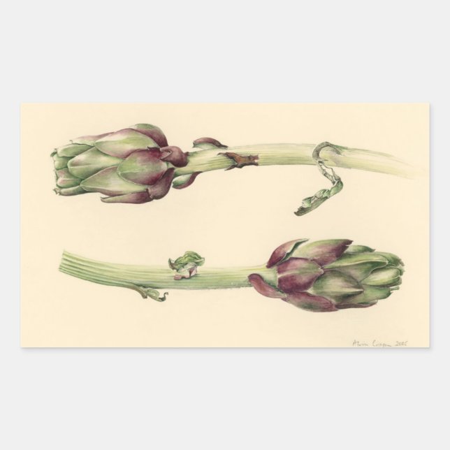 Artichokes 2005 rectangular sticker (Front)