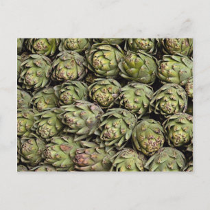 Artichokes Photo Postcard