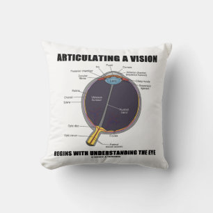 Articulating A Vision Begins Understanding The Eye Cushion