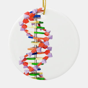 Artificial DNA model Ceramic Tree Decoration