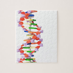 Artificial DNA model Jigsaw Puzzle