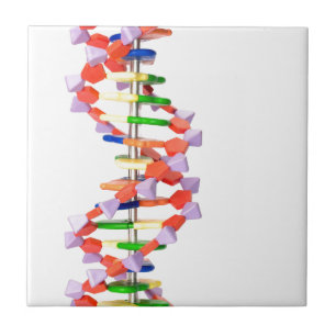 Artificial DNA model Tile