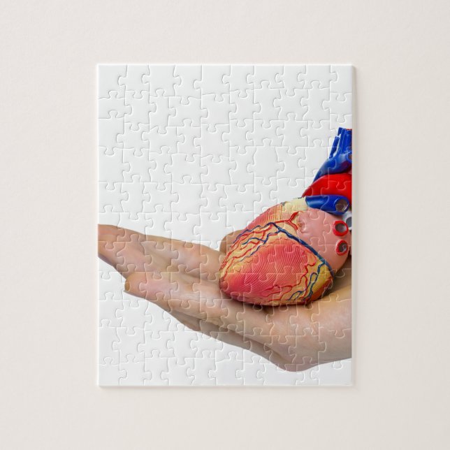 Artificial human heart model on hand jigsaw puzzle (Vertical)