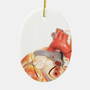 Artificial model of a heart side view ceramic tree decoration