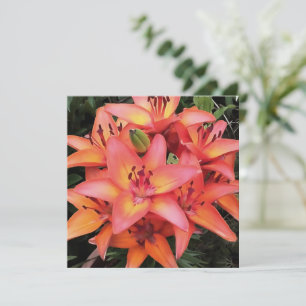 Artisitc Coral Coloured Garden Lilies Holiday Card