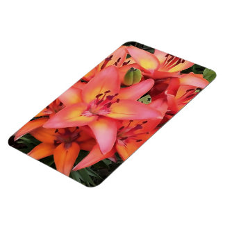 Artisitc Coral Coloured Garden Lilies Magnet