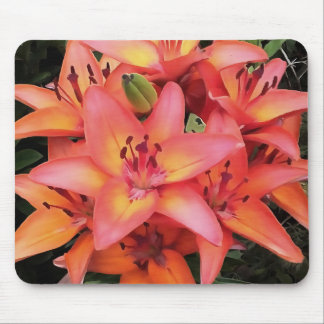 Artisitc Coral Coloured Garden Lilies Mouse Mat