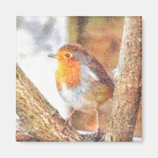Artisitc Robin Redbreast Watercolor Magnet
