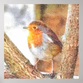 Artisitc Robin Redbreast Watercolor Poster