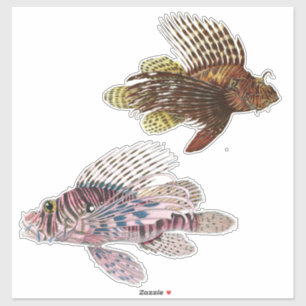 Artist Impression Tropical Fish Illustration Vinyl