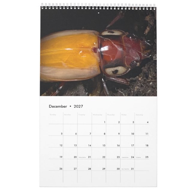 Artist photo calendar (Dec 2027)