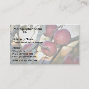 Artist/Photographer/Digital Art Business Card